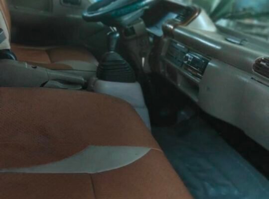 Elf for saleElf for sale