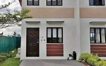 Idesia Lipa near bypass