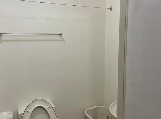 Light residences for rent