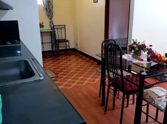 2 bedrooms with Balcony for Rent in Manila near Makati CBD