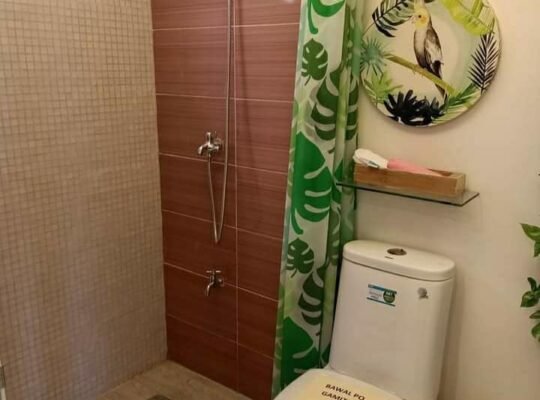 Abot kaya na Bahay at Lupa