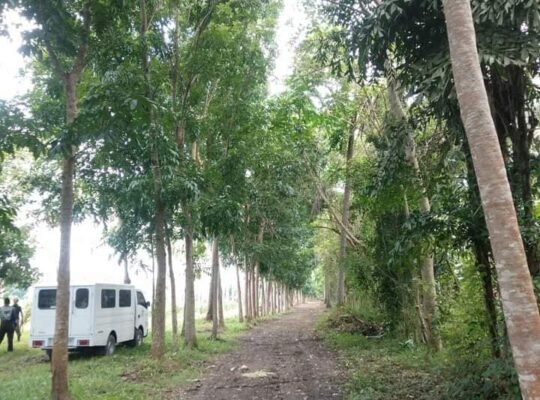 Lot only near Beach in Laiya Batangas