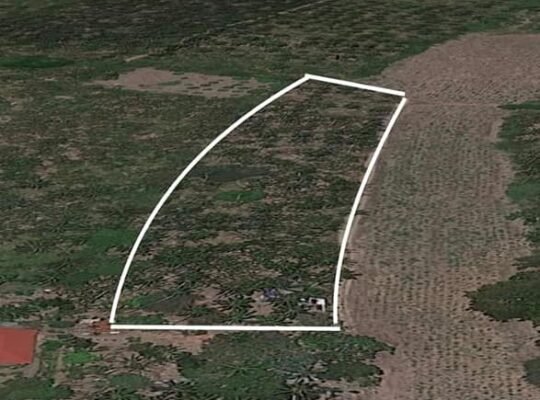 Lot only near Beach in Laiya Batangas