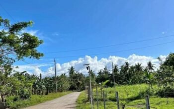 Farm Lot in San Antonio Quezon