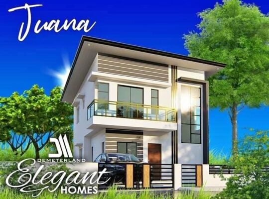 🔳F O R S A L E🔳 🏠FULLY FURNISHED BRAND NEW ELEGANT HOUSE WITH POOL 🔍BF HOMES PQUE 📌Modern Con
