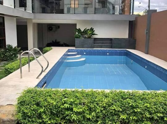 FOR SALE FULLY FURNISHED BRAND NEW ELEGANT HOUSE WITH POOL BF HOMES PARAÑAQUE