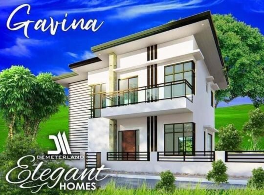 🔳F O R S A L E🔳 🏠FULLY FURNISHED BRAND NEW ELEGANT HOUSE WITH POOL 🔍BF HOMES PQUE 📌Modern Con