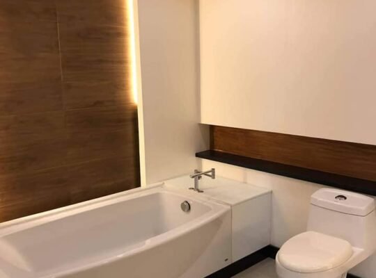 FOR SALE FULLY FURNISHED BRAND NEW ELEGANT HOUSE WITH POOL BF HOMES PARAÑAQUE