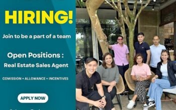 Real Estate Sales Agent