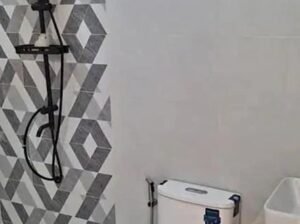 FOR SALE BRAND NEW HOUSE 288SQM HUGE PARKING SPACE LAGUNA BEL AIR SANTA ROSA LAGUNA