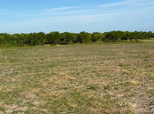 3,300sqm Farm Lot sa Tiaong Quezon