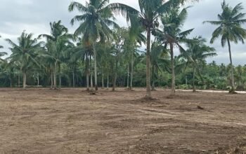 Farm Lot 50 meters from Hiway