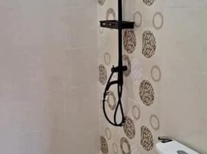 FOR SALE NICE , BEAUTIFUL & NEWLY RENOVATED HOUSE & LOT HUGE PARKING SPACE LAGUNA BEL AIR STA ROSA.