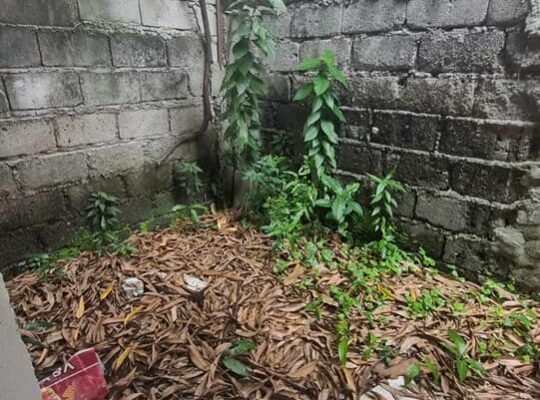 🔳FOR SALE 🔥LOT with UNFINISHED Bungalow House 240sqm 🔍PILAR VILLAGE 🔍LAS PIÑAS CITY