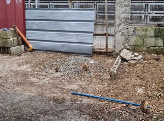 🔳FOR SALE 🔥LOT with UNFINISHED Bungalow House 240sqm 🔍PILAR VILLAGE 🔍LAS PIÑAS CITY