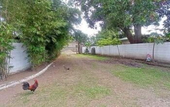 💢FOR SALE 🏕️2.3HAS FARM with BEAUTIFUL HOUSE. 15mins away to Beach NASUGBU BATANGAS 60M