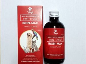 DOGI IRON-MAX 120ML (MULTIVITAMINS + MINERALS) VANILLA FALVOR / PARA SA ASO AT PUSA