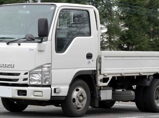 2019 Suzuki truck hulugan