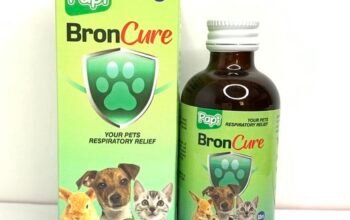 PAPI BRONCURE FOR RESPIRATORY STRENGHT AND TREATMENT 60ML