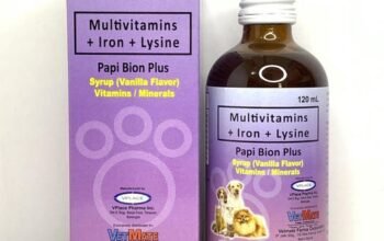 PAPI BION PLUS B COMPLEX 120ML / MULTIVITAMINS FOR DOGS & CATS