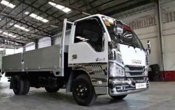 2019 Suzuki truck hulugan