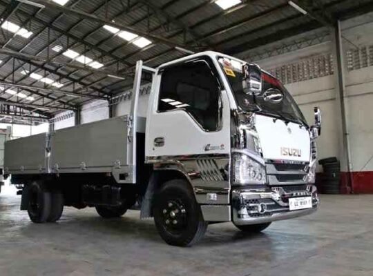 2019 Suzuki truck hulugan