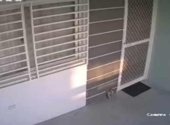 🔥FOR SALE FULLY FURNISHED 3BR TOWNHOUSE MANUELA near Verdant, & Alabang Zapote road