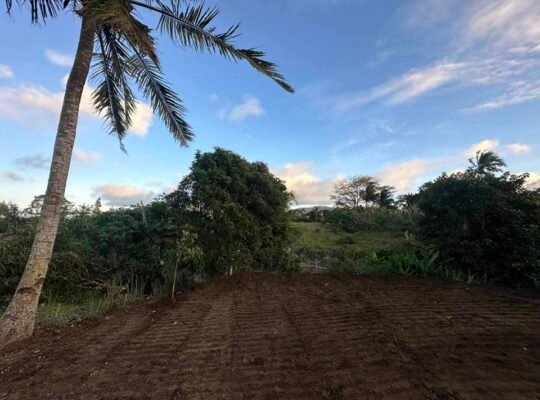 LOT FOR SALE 5001SQM TITLE▪️NEAR TAGAYTAY TAGAYTAY WEATHER GOOD LOCATION SILANG CAVITE