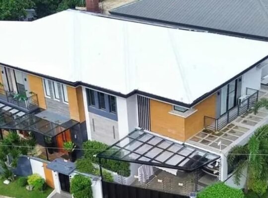 FOR SALE FURNISHED HOUSE & LOT CORNER LOT 366SQM BF HOMES PARAÑAQUE