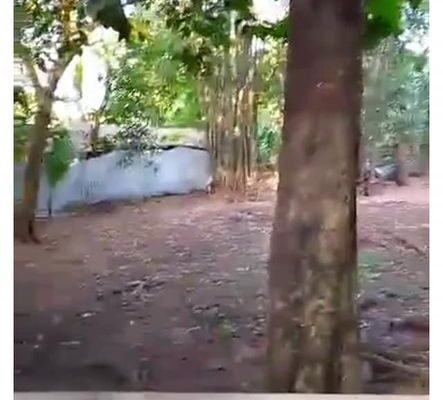 FOR SALE LOT ONLY 800SQM NEAR QUIRINO HIGHWAY SAN JOSE DEL MONTE BULACAN.