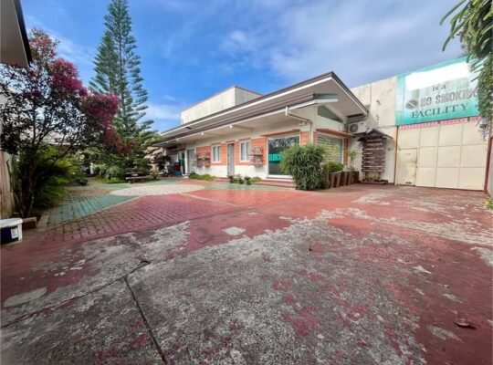 FOR SALE BIG LOT & 2 STOREY BLDG FACILITY TAGAYTAY AMADEO RD