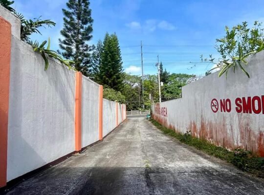 FOR SALE BIG LOT & 2 STOREY BLDG FACILITY TAGAYTAY AMADEO RD