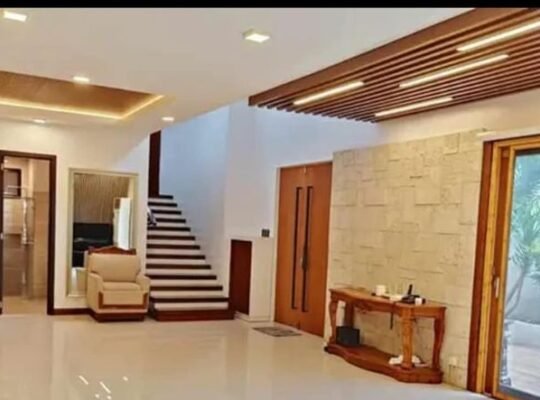 FOR SALE FURNISHED HOUSE & LOT CORNER LOT 366SQM BF HOMES PARAÑAQUE