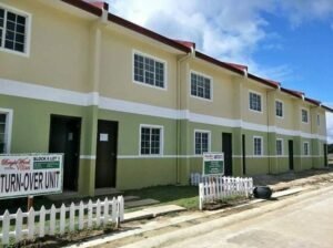 Magandang Investment (House and lot)
