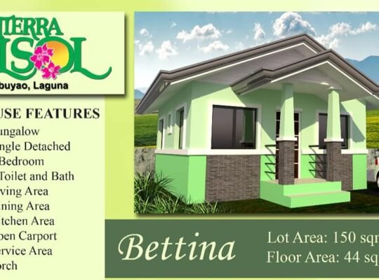 Bahay na may malaking Lote