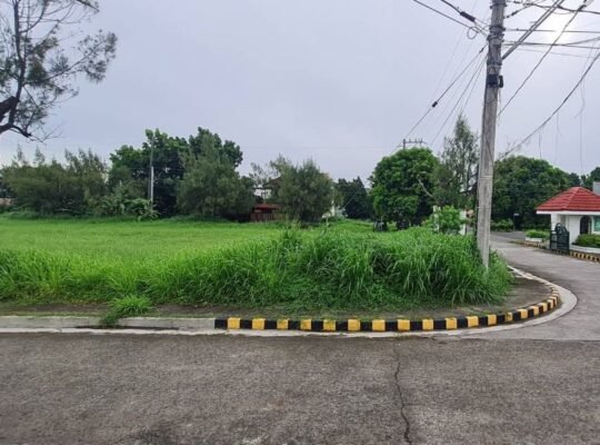 Corner Lot For Sale along Main Road of Metro South Village Gentri Cavite