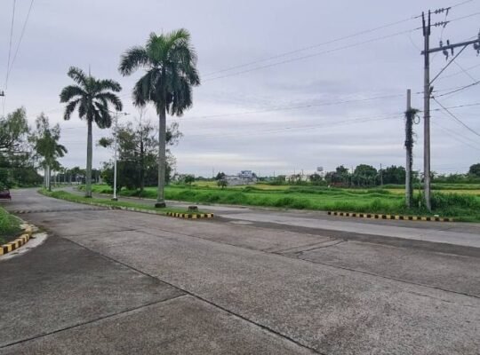 Corner Lot For Sale along Main Road of Metro South Village Gentri Cavite