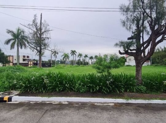 Corner Lot For Sale along Main Road of Metro South Village Gentri Cavite