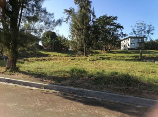 Corner Lot For Sale in Glenwood Park Near Turbina Calamba