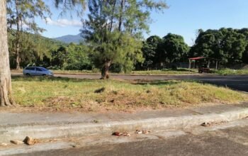 Corner Lot For Sale in Glenwood Park Near Turbina Calamba