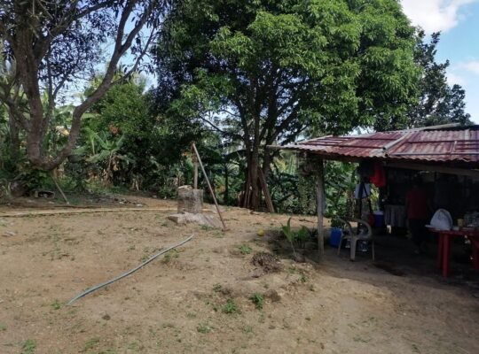 Titled Farm Lot For Sale in Pangil Amadeo