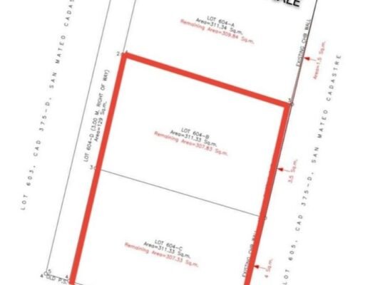 TITLED Lot For Sale in Ampid San Mateo Rizal