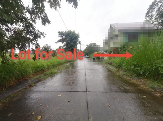 Lot For Sale in Metrogate Silang Estates