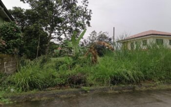 Lot For Sale in Metrogate Silang Estates