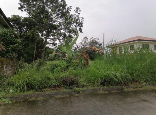 Lot For Sale in Metrogate Silang Estates