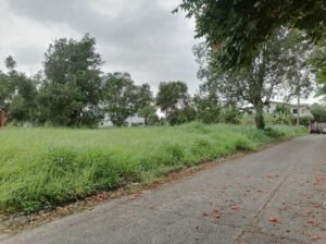 Lot For Sale in Metrogate Silang Estates