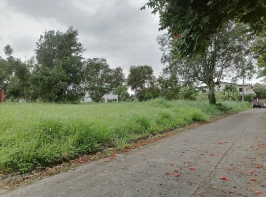 Lot For Sale in Metrogate Silang Estates