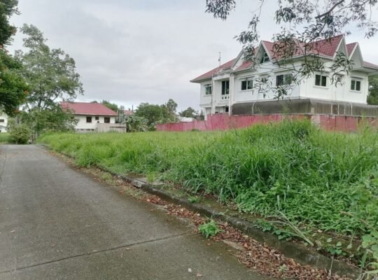 Lot For Sale in Metrogate Silang Estates