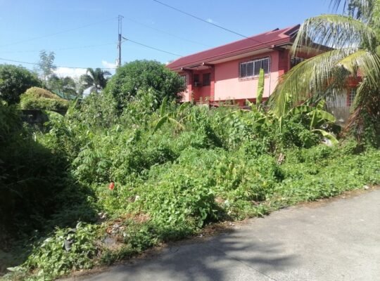 Lot For Sale near Aguinaldo Highway in Imus Cavite