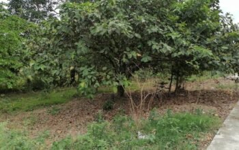 Lot For Sale near Tagaytay Alfonso Bypass Road